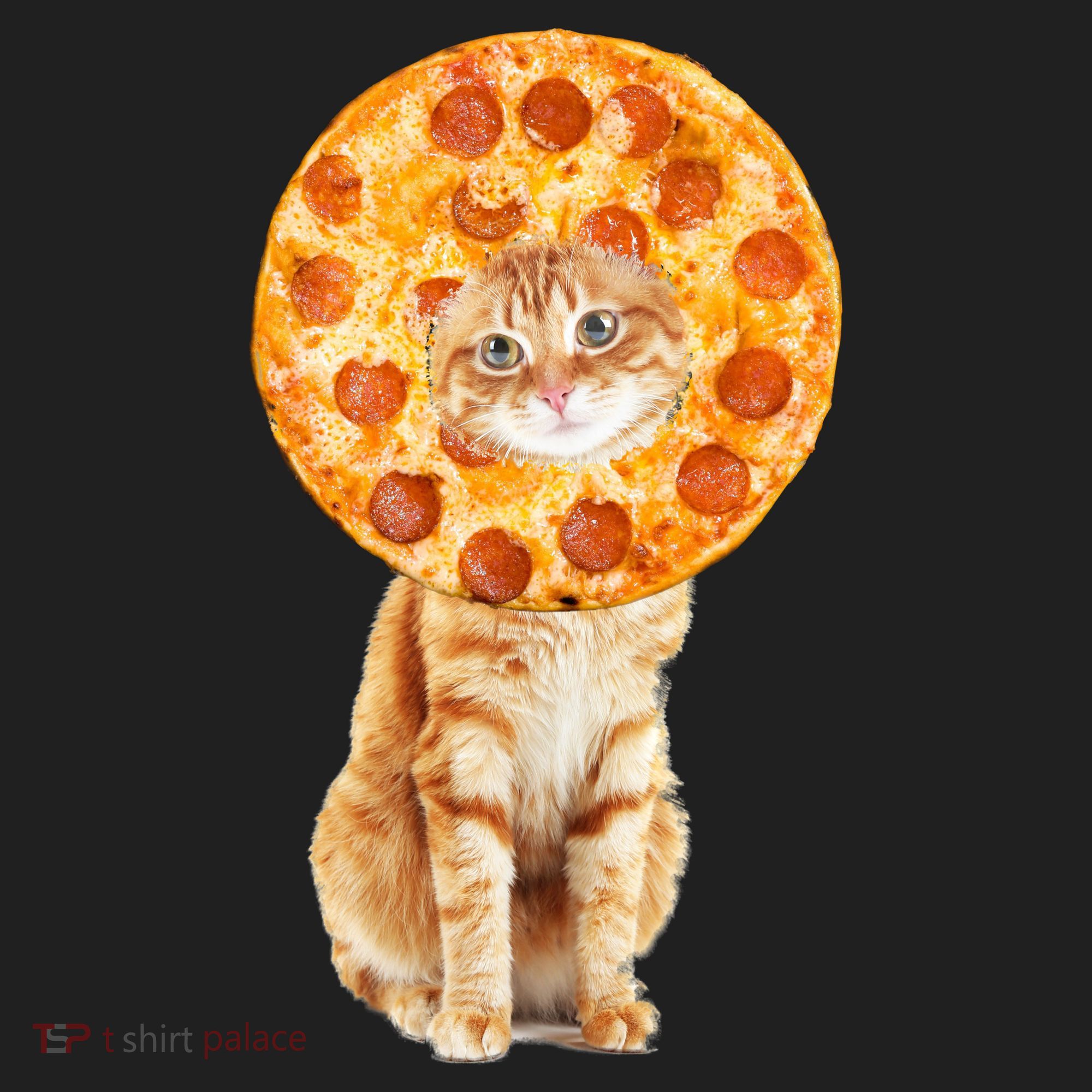 Pizza Cat Tumbler