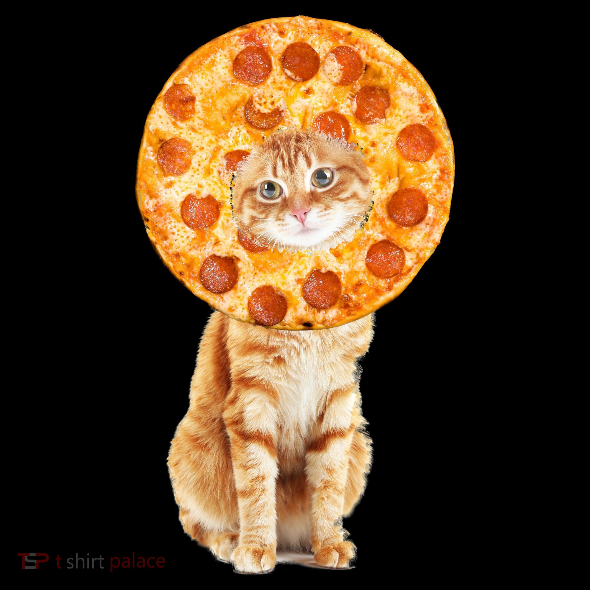 Pizza Cat Kids Sweatshirt