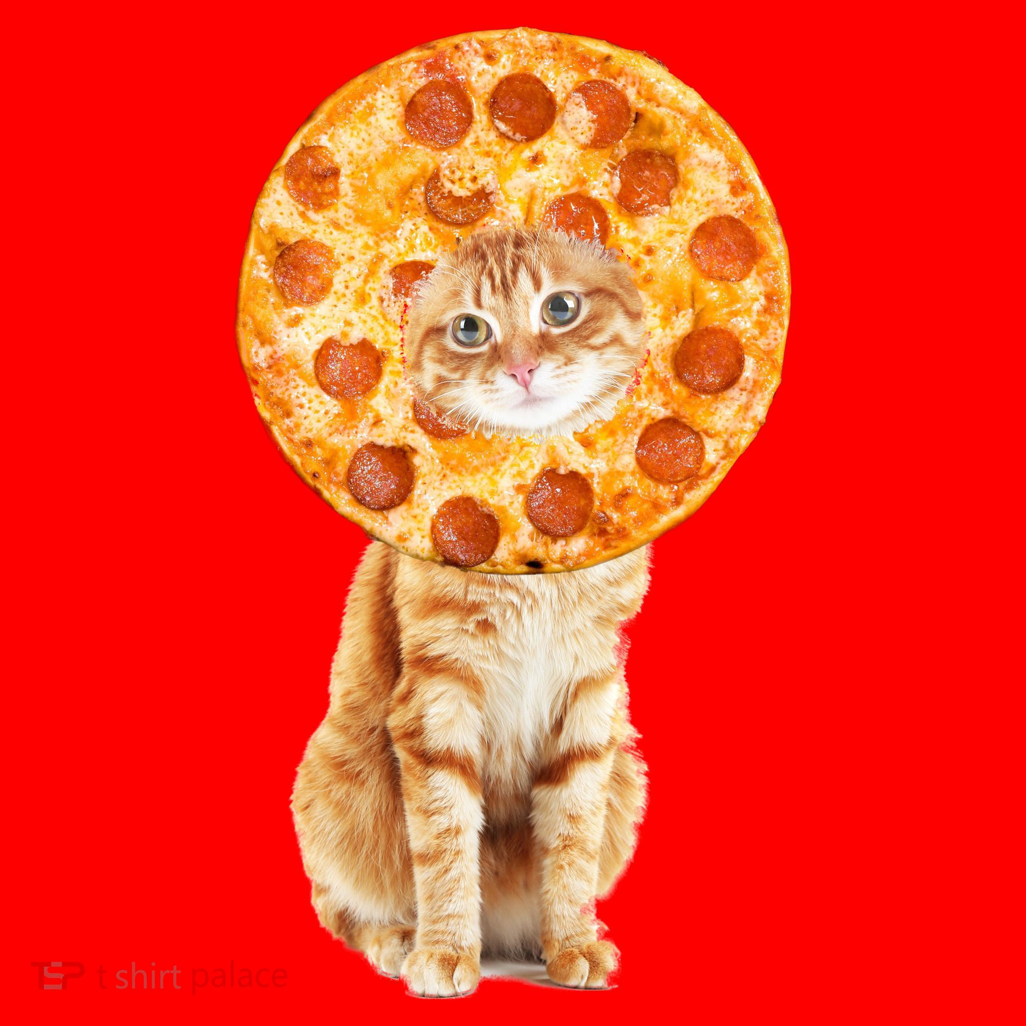 Pizza Cat Santa Hat