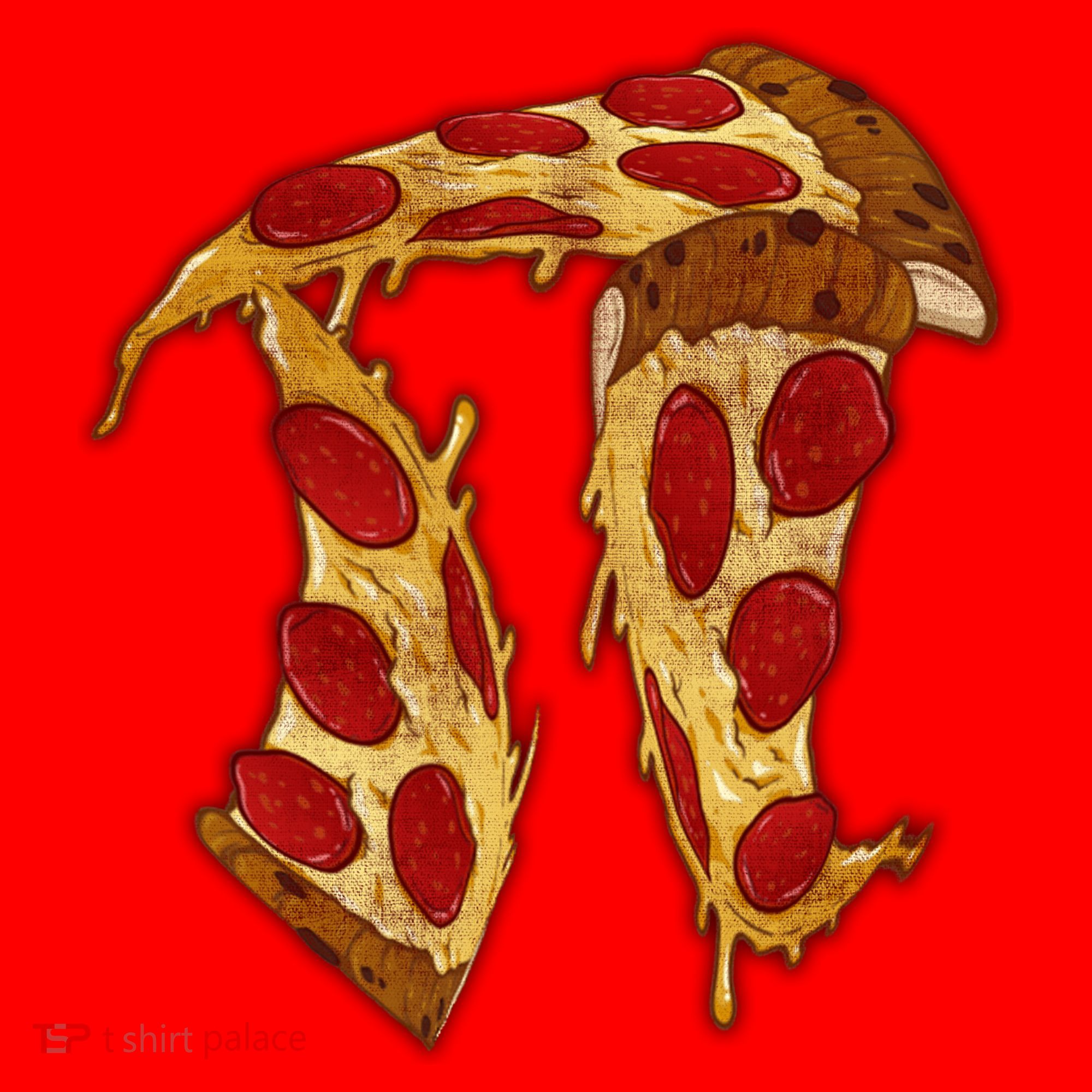 Pizza Pi Day Santa Hat