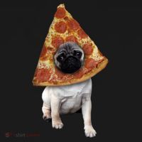 Pizza Pug Dog Women's T-Shirt thumb 6