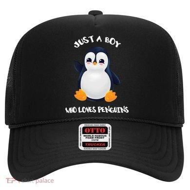 Penguin Just A Boy Who Loves Penguins Gift Hat