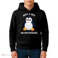 Penguin Just A Boy Who Loves Penguins Gift Kids Hoodie thumb 4