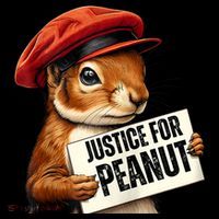 P’Nut Justice For Pnut Pnut Justice For Peanut The Squirrel Toddler Hoodie thumb 2