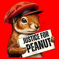 P’Nut Justice For Pnut Pnut Justice For Peanut The Squirrel Santa Hat thumb 1
