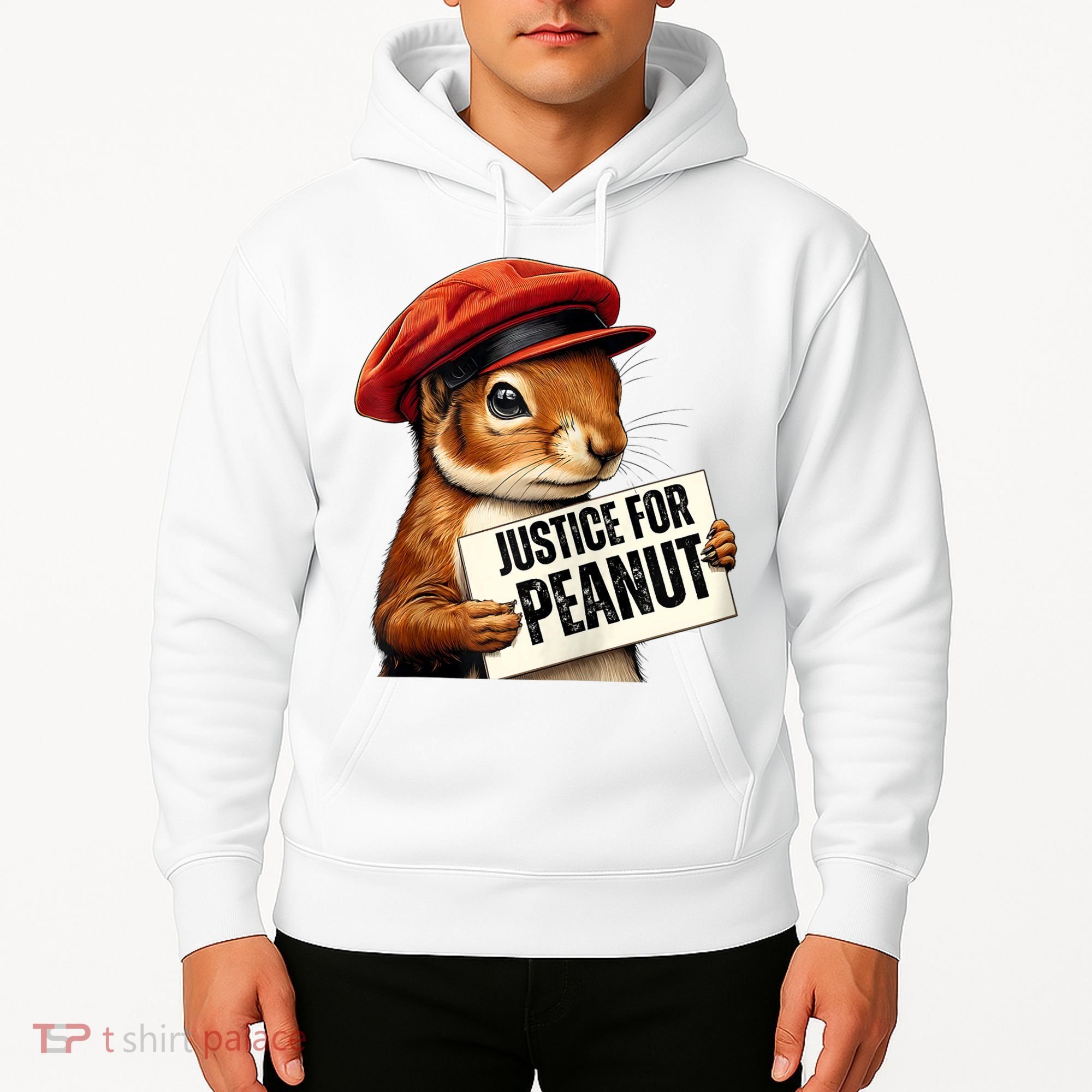 P’Nut Justice For Pnut Pnut Justice For Peanut The Squirrel Hoodie