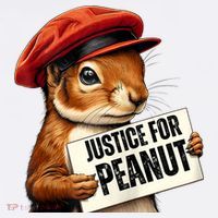 P’Nut Justice For Pnut Pnut Justice For Peanut The Squirrel Hoodie thumb 7