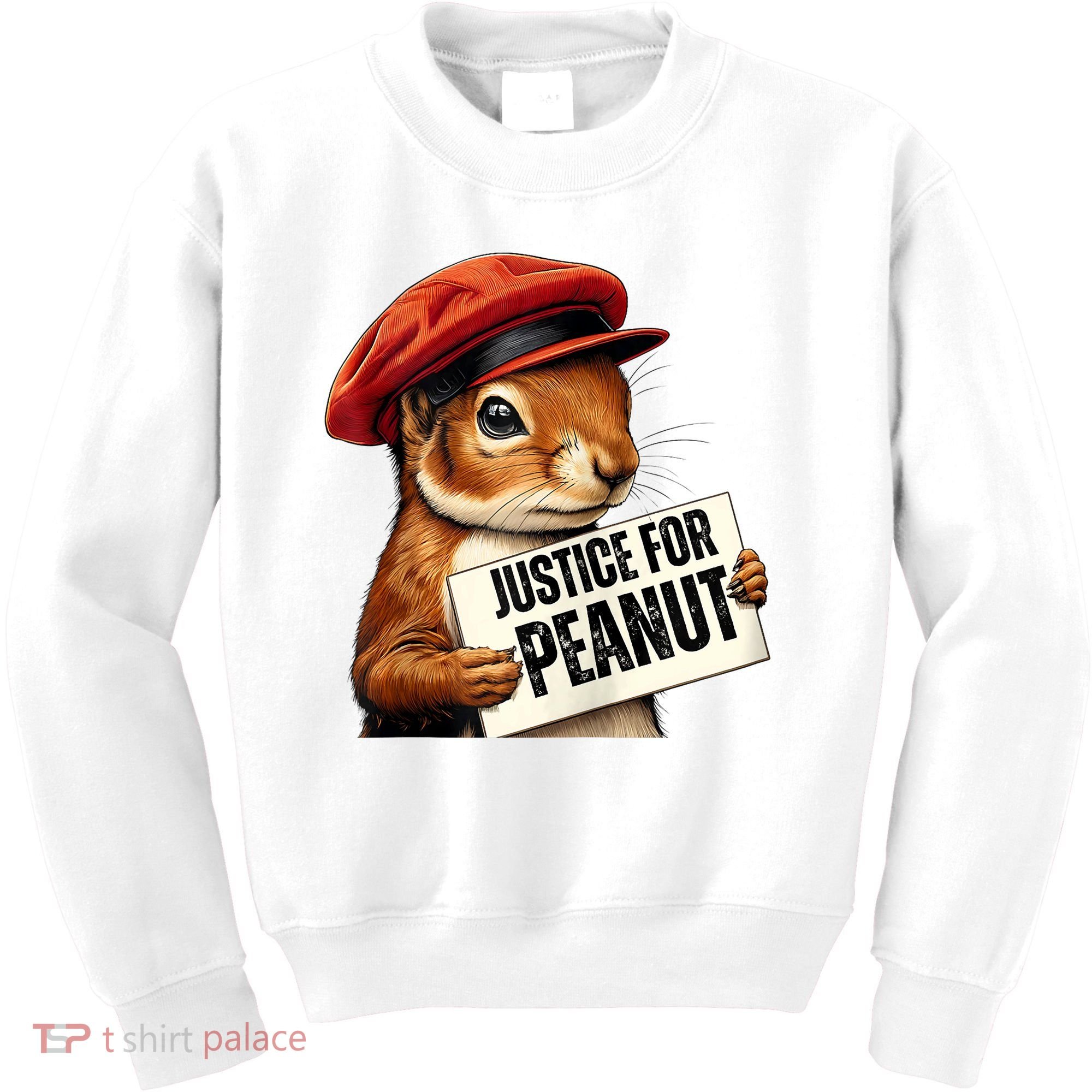 P’Nut Justice For Pnut Pnut Justice For Peanut The Squirrel Kids Sweatshirt