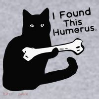 Pun Joke I Found This Humerus Humorous Cat Lover Women's Racerback Cropped Tank thumb 2
