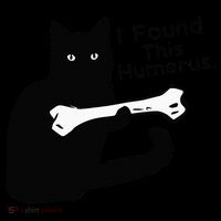 Pun Joke I Found This Humerus Humorous Cat Lover Kids Colorblock Raglan Jersey thumb 2