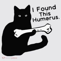 Pun Joke I Found This Humerus Humorous Cat Lover Womens Funnel Neck Pullover Hood thumb 2