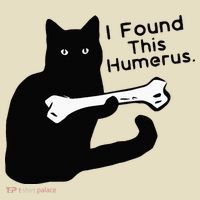 Pun Joke I Found This Humerus Humorous Cat Lover Comfort Colors Boxy T-Shirt thumb 3