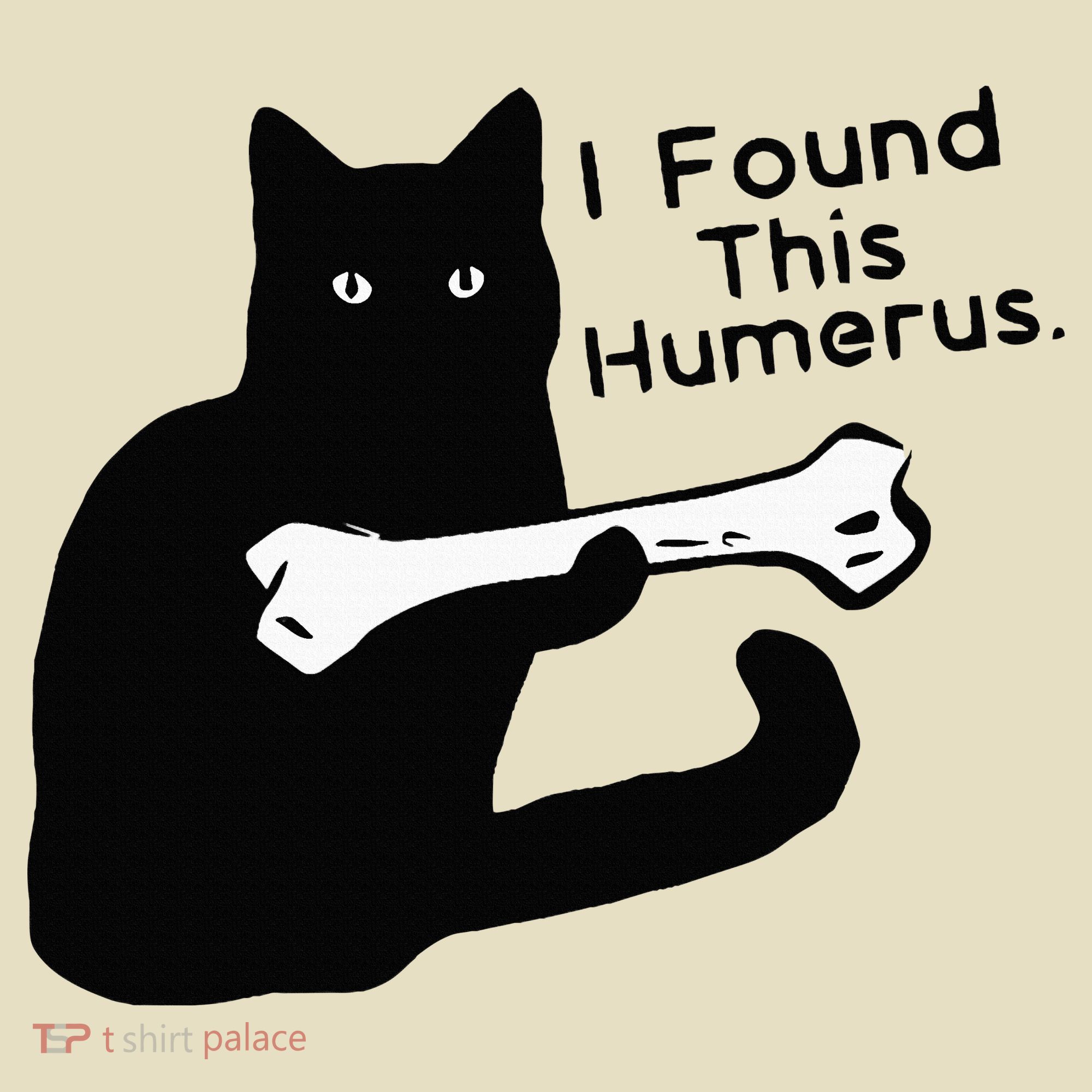 Pun Joke I Found This Humerus Humorous Cat Lover Comfort Colors Boxy T-Shirt