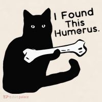 Pun Joke I Found This Humerus Humorous Cat Lover Garment-Dyed Women's Muscle Tee thumb 6