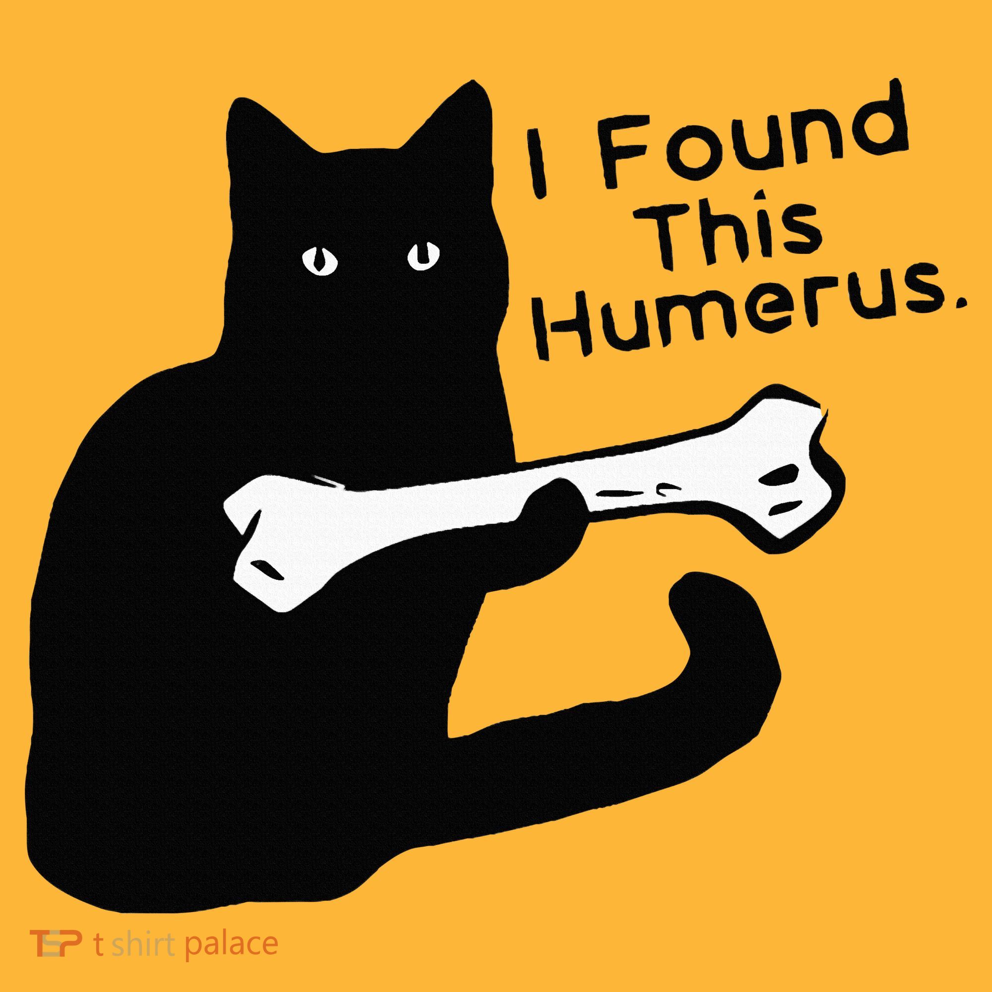 Pun Joke I Found This Humerus Humorous Cat Lover Pom Pom 12in Knit Beanie