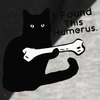 Pun Joke I Found This Humerus Humorous Cat Lover Raglan Baseball Sleeve Shirt thumb 2
