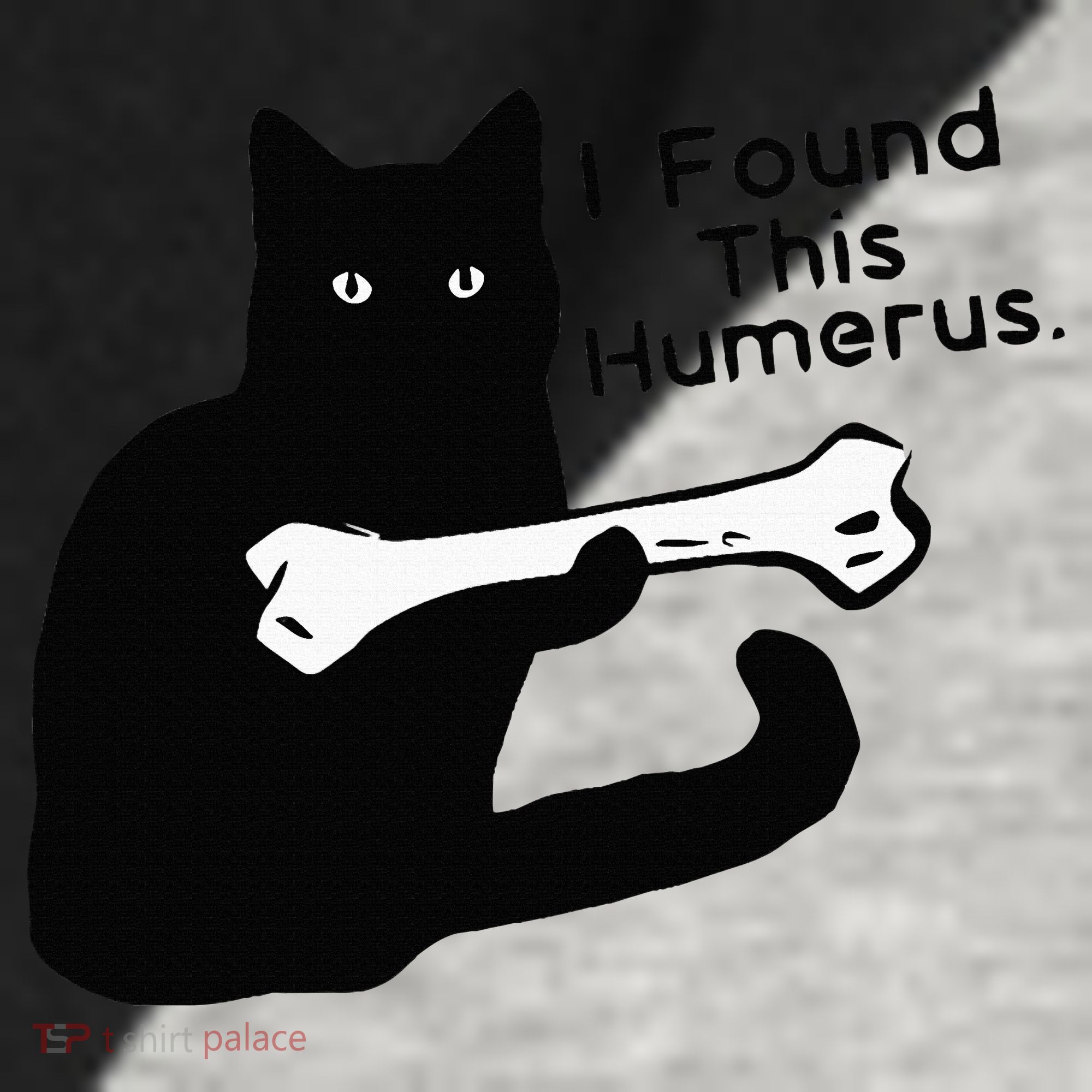 Pun Joke I Found This Humerus Humorous Cat Lover Raglan Baseball Sleeve Shirt