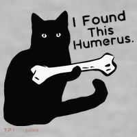 Pun Joke I Found This Humerus Humorous Cat Lover Ladies PosiCharge Tri-Blend Wicking Tank thumb 2