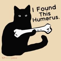 Pun Joke I Found This Humerus Humorous Cat Lover Tote Bag thumb 4