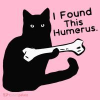 Pun Joke I Found This Humerus Humorous Cat Lover Coaster thumb 2