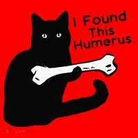 Pun Joke I Found This Humerus Humorous Cat Lover Santa Hat thumb 1
