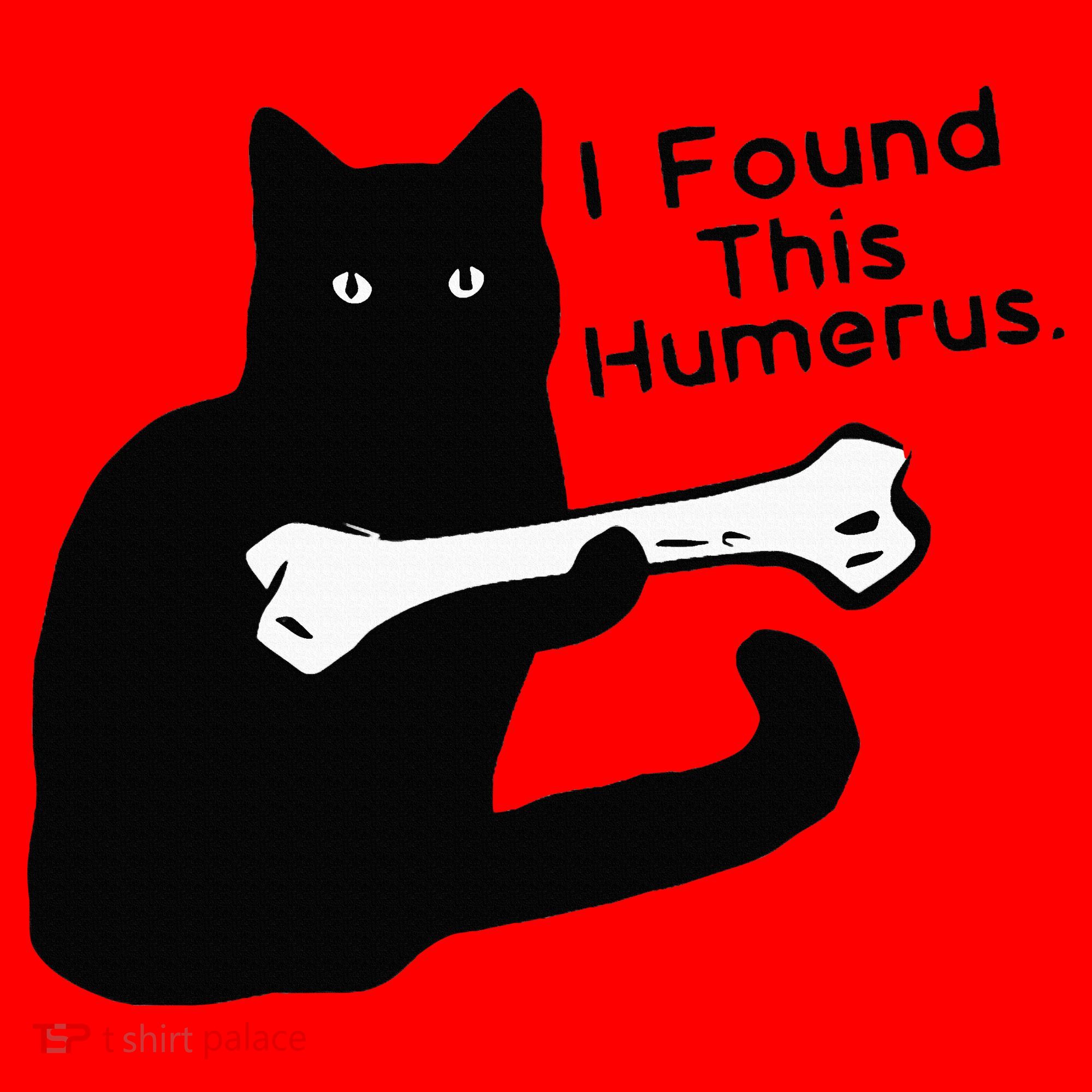 Pun Joke I Found This Humerus Humorous Cat Lover Santa Hat