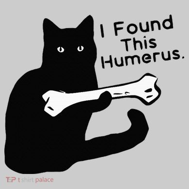 Pun Joke I Found This Humerus Humorous Cat Lover Kids Tie-Dye T-Shirt