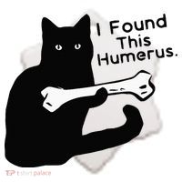 Pun Joke I Found This Humerus Humorous Cat Lover Ceramic Ornament thumb 2