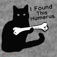 Pun Joke I Found This Humerus Humorous Cat Lover Tall Sweatshirt thumb 2