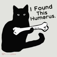 Pun Joke I Found This Humerus Humorous Cat Lover 24oz Duet Stainless Steel Tumbler thumb 2
