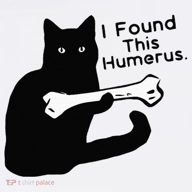 Pun Joke I Found This Humerus Humorous Cat Lover Tall Hoodie