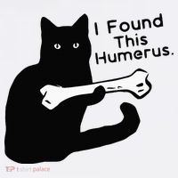 Pun Joke I Found This Humerus Humorous Cat Lover Women's Perfect Tri Rocker Tank thumb 4