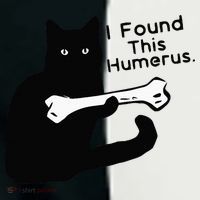 Pun Joke I Found This Humerus Humorous Cat Lover Infant Baby Jersey Bodysuit thumb 2