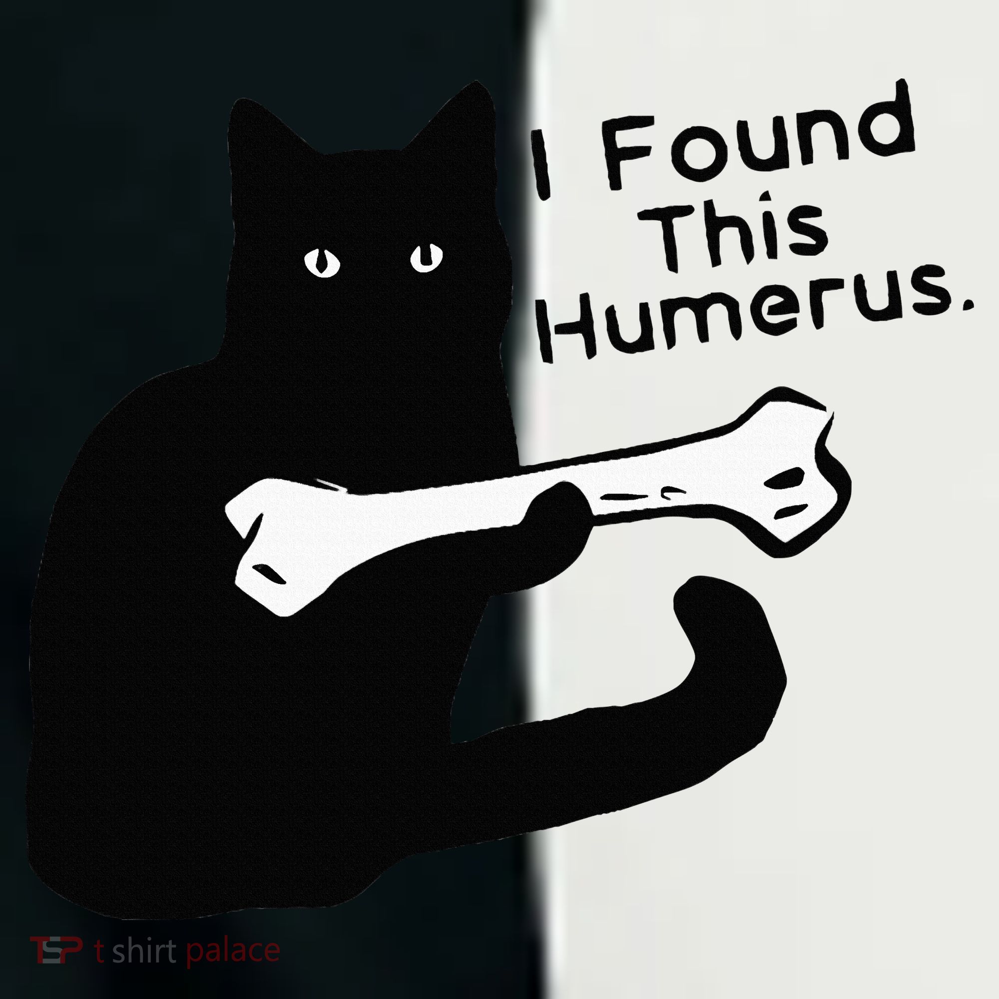 Pun Joke I Found This Humerus Humorous Cat Lover Women's Tri-Blend 3/4-Sleeve Raglan Shirt