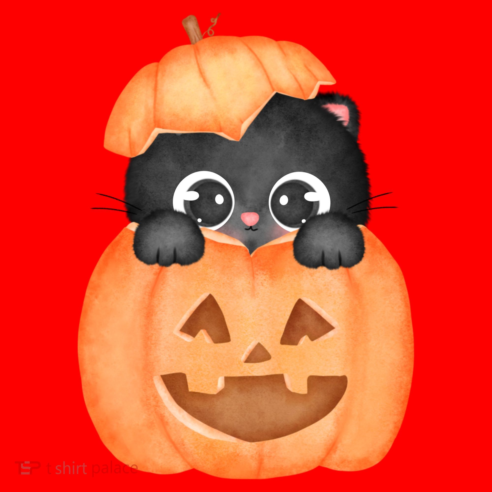 Pumpkin Kitty Cute Halloween Santa Hat