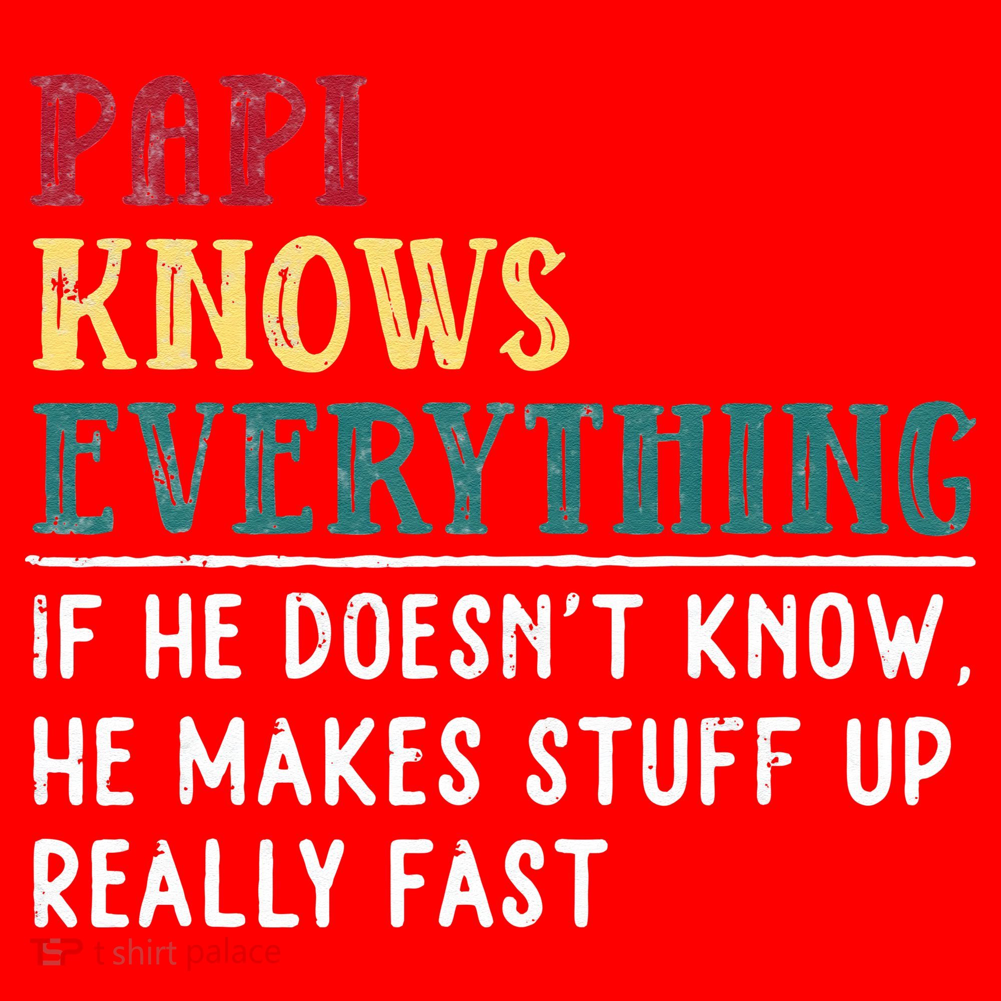 Papi Knows Everything Fathers Day Gift For Funny Grandpa Santa Hat