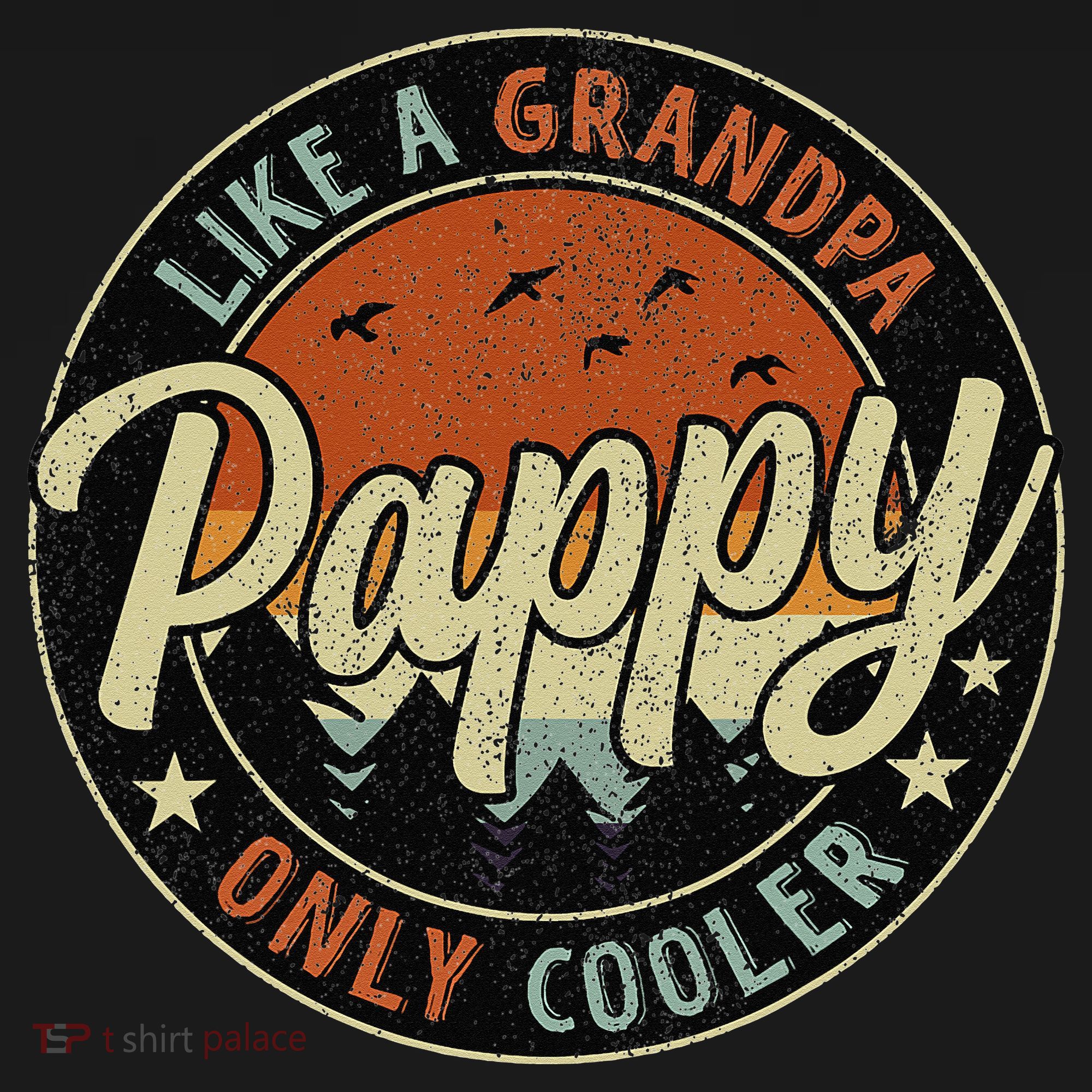Pappy Like A Grandpa Only Cooler Vintage Retro Father's Day T-Shirt