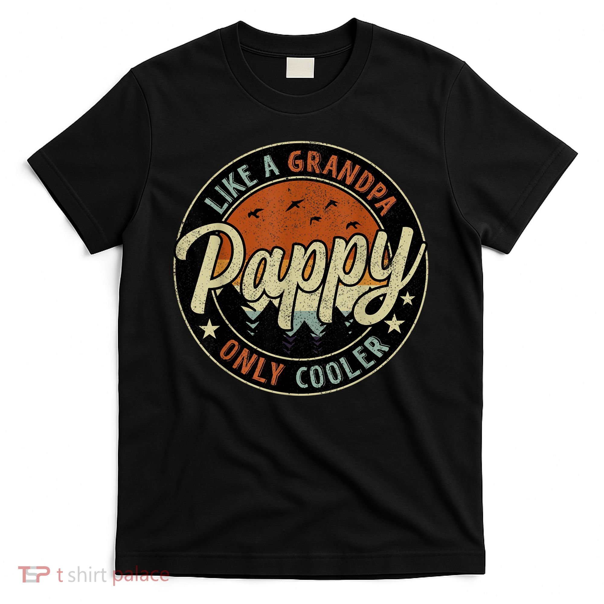 Pappy Like A Grandpa Only Cooler Vintage Retro Father's Day T-Shirt