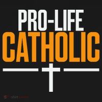 Pro Life Anti Abortion Catholic Toddler Zip Fleece Hoodie thumb 2
