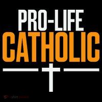 Pro Life Anti Abortion Catholic Ornament thumb 1
