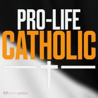 Pro Life Anti Abortion Catholic Toddler Fine Jersey T-Shirt thumb 2