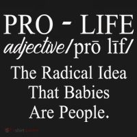 Pro Life Anti Abortion Christian Toddler Hoodie thumb 2