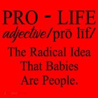 Pro Life Anti Abortion Christian Santa Hat thumb 1