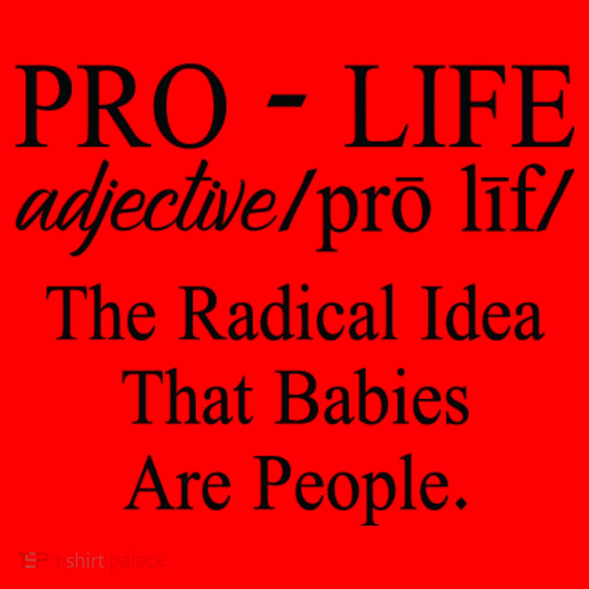 Pro Life Anti Abortion Christian Santa Hat