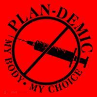 Plan-Demic My Body My Choice Santa Hat thumb 1