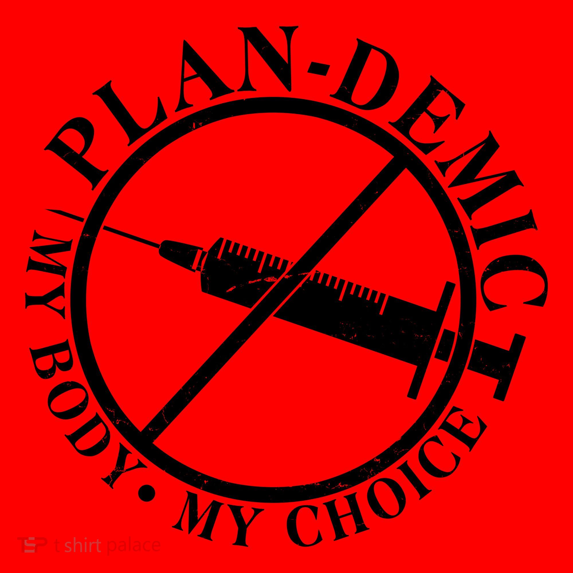 Plan-Demic My Body My Choice Santa Hat