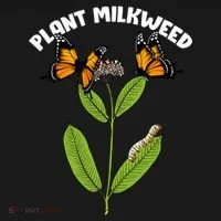 Plant Milkweed Bucket Hat thumb 4