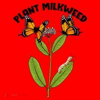 Plant Milkweed Santa Hat thumb 1
