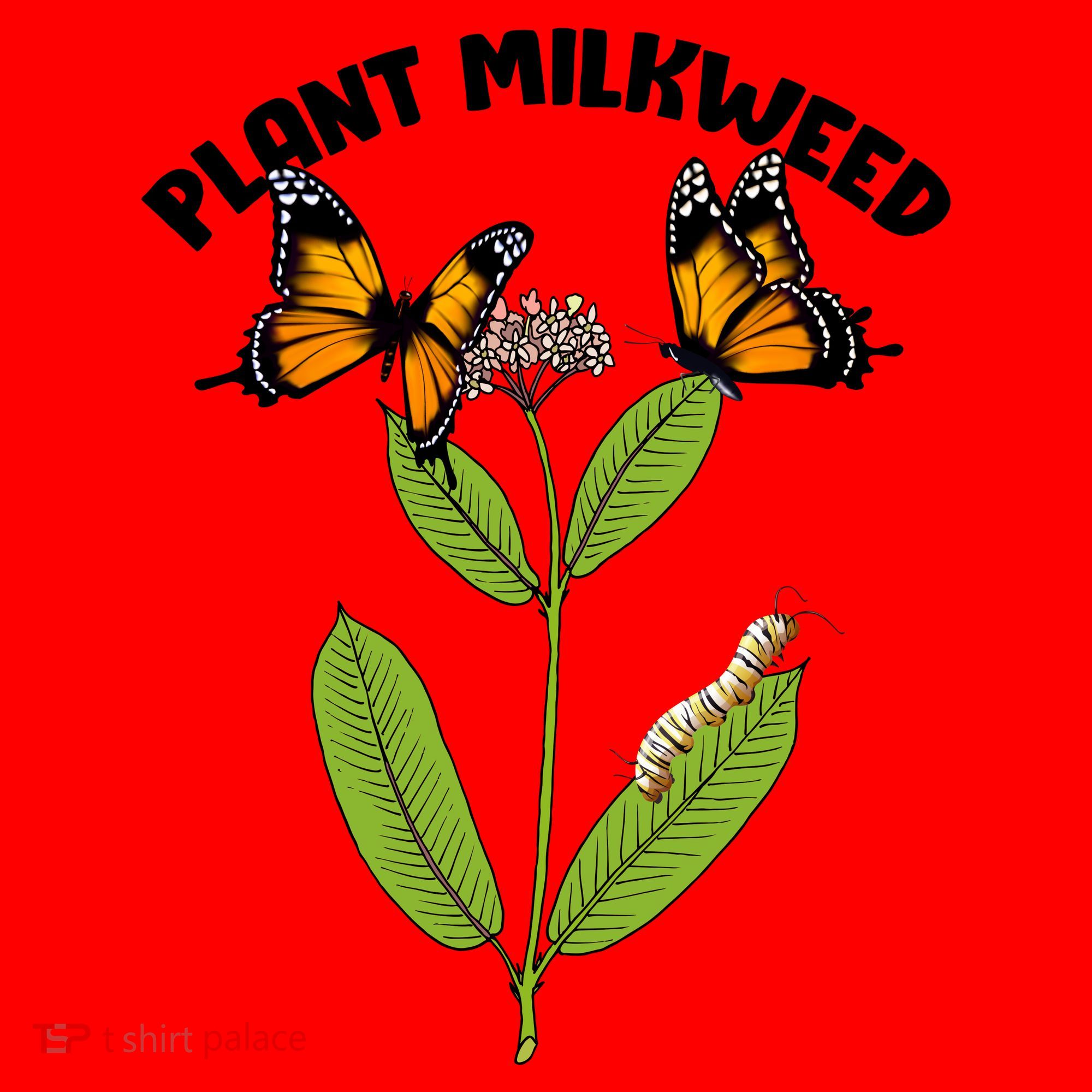 Plant Milkweed Santa Hat