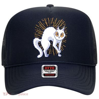 Playful Cat Hat
